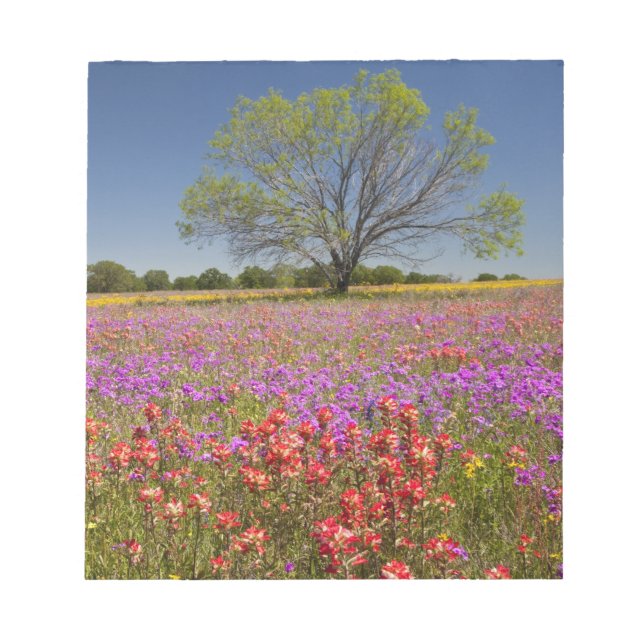 Bloc De Notas Mesquitas de primavera cultivadas en flores silves (Frente)