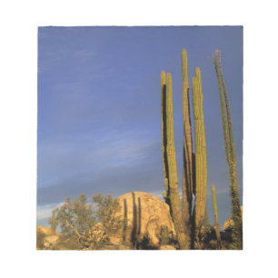 Bloc De Notas México, Baja del Norte, Desierto Nacional de Catav