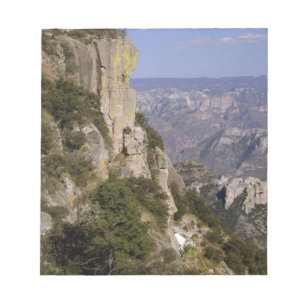 Bloc De Notas México, Estado de Chihuahua, Copper Canyon. ESTO 2