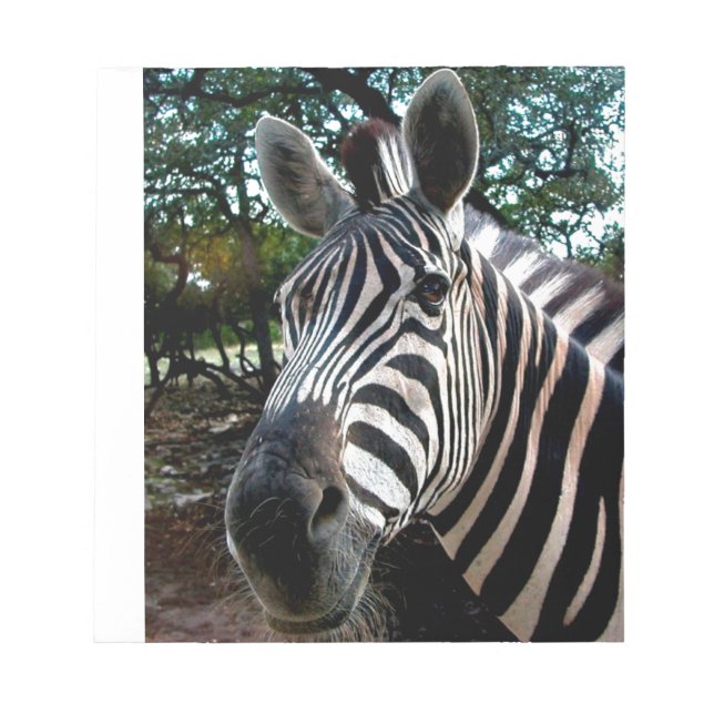 Bloc De Notas Mi amigo strippy (Frente)