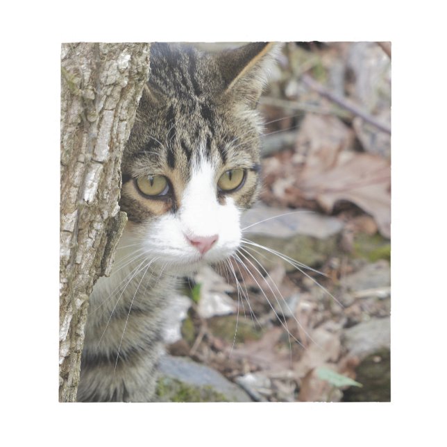 Bloc De Notas Mi gato de caza (Frente)