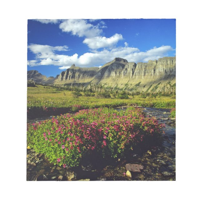 Bloc De Notas Mimulus de Logan Pass en Glacier National (Frente)