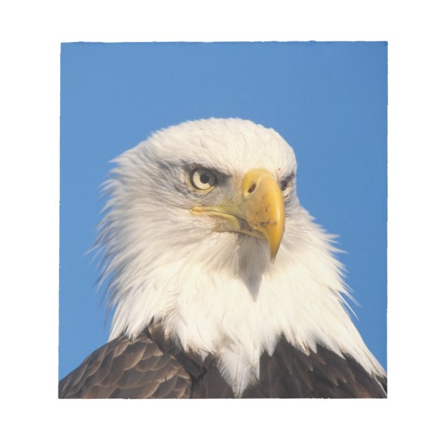 Bloc De Notas Mirada del águila calva (Frente)