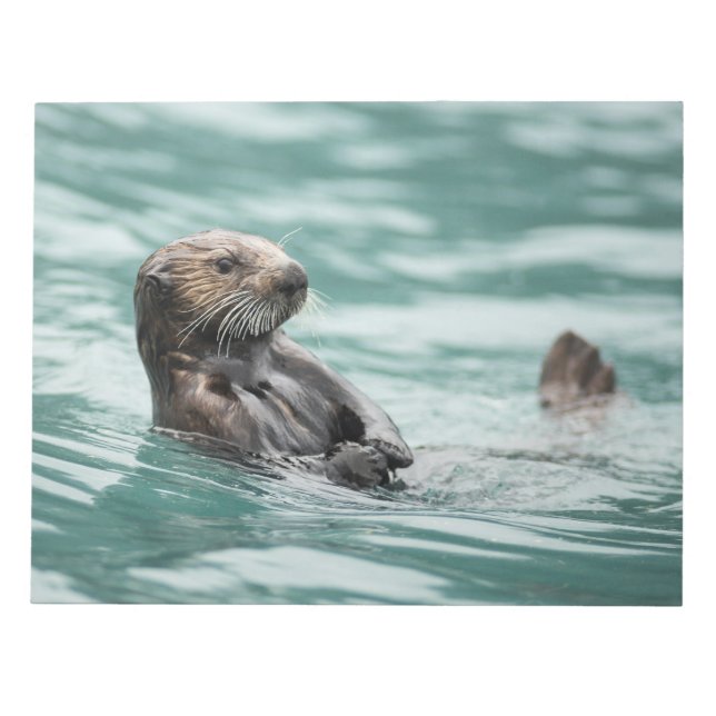 Bloc De Notas Mirando el Otter marino (Frente)