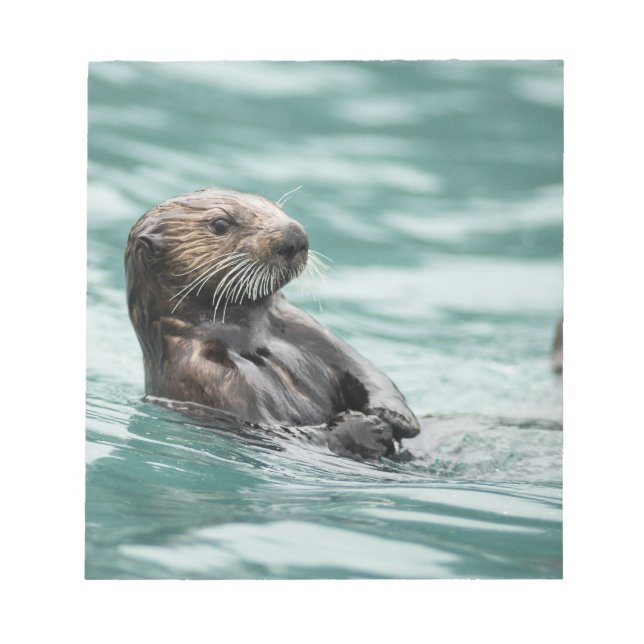 Bloc De Notas Mirando el Otter marino (Frente)