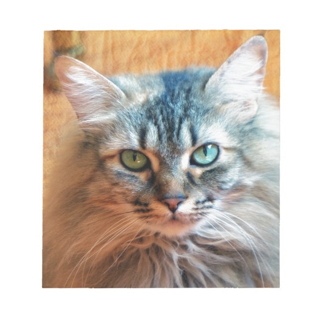 Bloc De Notas Miss Tootles (Frente)