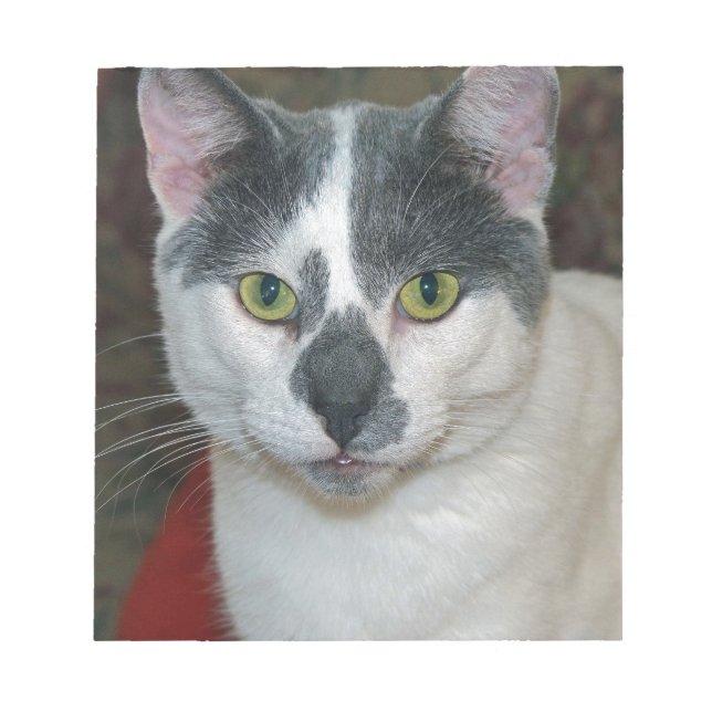 Bloc De Notas Mister Pants (Frente)