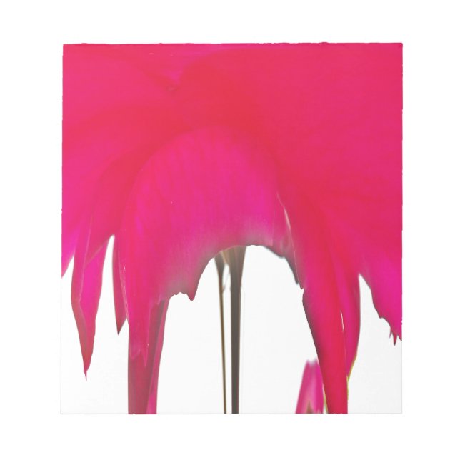 Bloc De Notas Momento capturado: Elegancia de Petal de Rosa Roja (Frente)