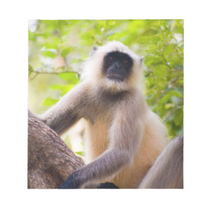 Bloc De Notas Mono en la selva del Parque Nacional de Ranthambor
