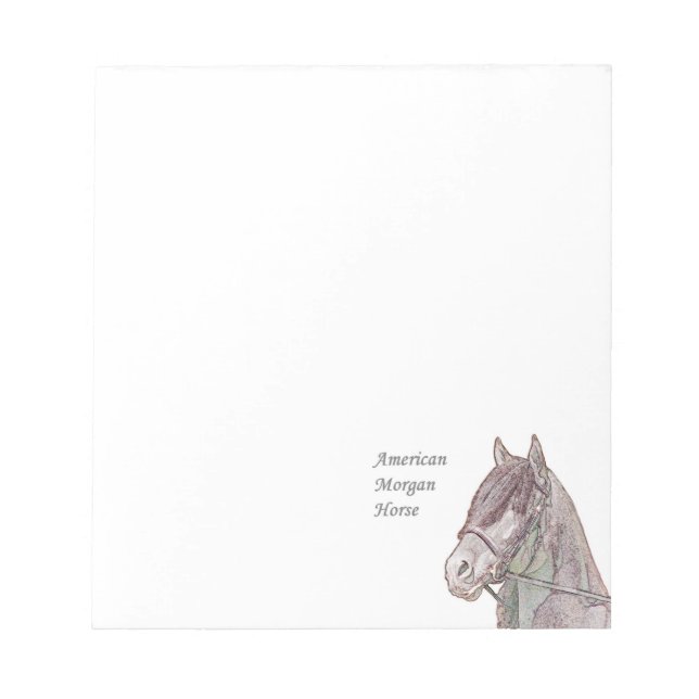 Bloc De Notas Morgan Horse Notepad (Frente)