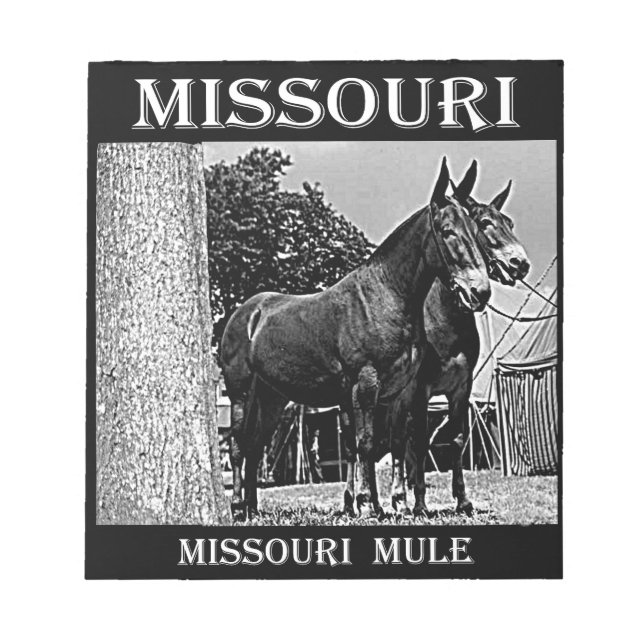Bloc De Notas Mula de Missouri (Frente)