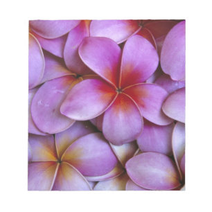 Bloc De Notas N.A., EE. UU., Maui, Hawái. Flores de plumeria ros