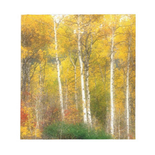 Bloc De Notas NA, EE. UU., Washington, Árboles de Aspen otoñales