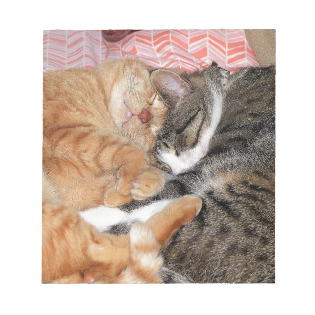 Bloc De Notas Nap Buddies (Frente)