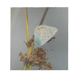 Bloc De Notas Naranja blanco azul con mariposa de puntos negros