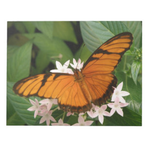 Bloc De Notas Naranja Julia Butterfly Notepad
