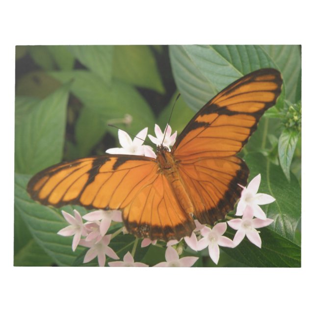 Bloc De Notas Naranja Julia Butterfly Notepad (Frente)