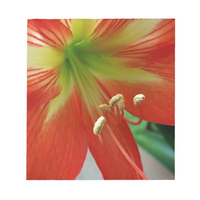 Bloc De Notas naranja lily (Frente)