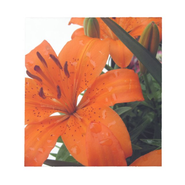 Bloc De Notas Naranja LIly (Frente)