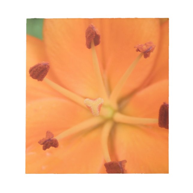 Bloc De Notas Naranja Lily Floral Notepad (Frente)