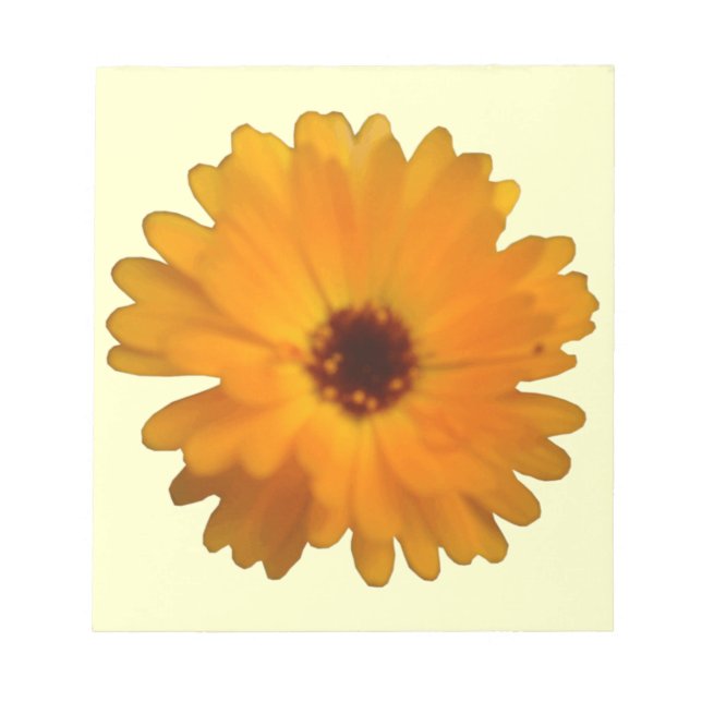 Bloc De Notas Naranja Marigold Notepad (Frente)