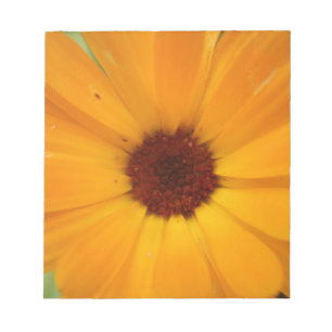 Bloc De Notas Naranja Rain Daisy Notepad