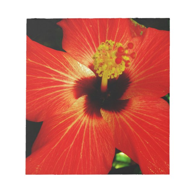 Bloc De Notas Naranja rojo brillante Hibiscus Flower (Frente)