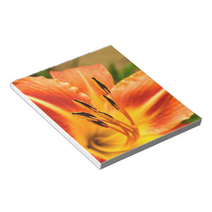 Bloc De Notas Naranja Tiger Lily