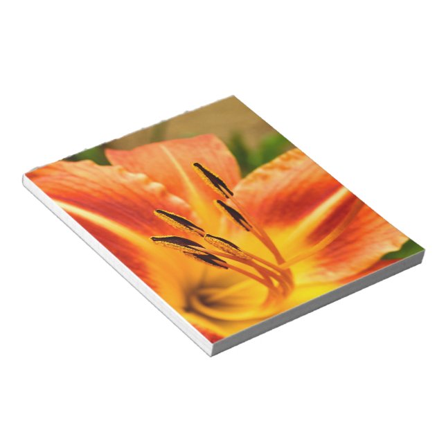 Bloc De Notas Naranja Tiger Lily (Lado Derecho)