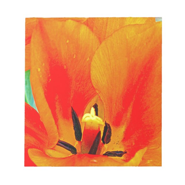 Bloc De Notas Naranja Tulip (Frente)