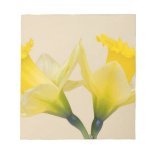 Bloc De Notas Narcisos amarillos