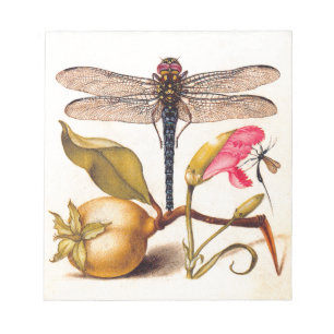 Bloc De Notas Naturaleza Botánica Libélula Fauna Hoefnagel Arte
