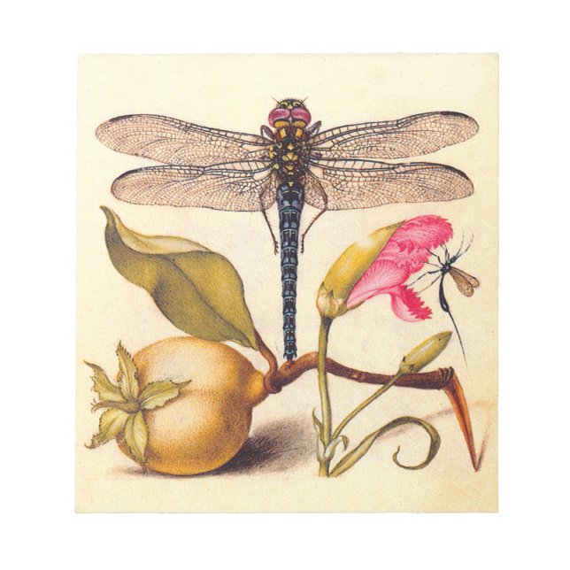 Bloc De Notas Naturaleza Botánica Libélula Fauna Hoefnagel Arte (Frente)