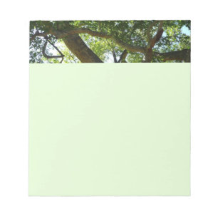 Bloc De Notas Naturaleza verde del árbol de Sycamore
