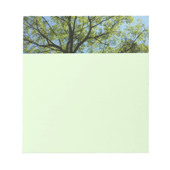 Bloc De Notas Naturaleza vibrante del roble de primavera (Frente)