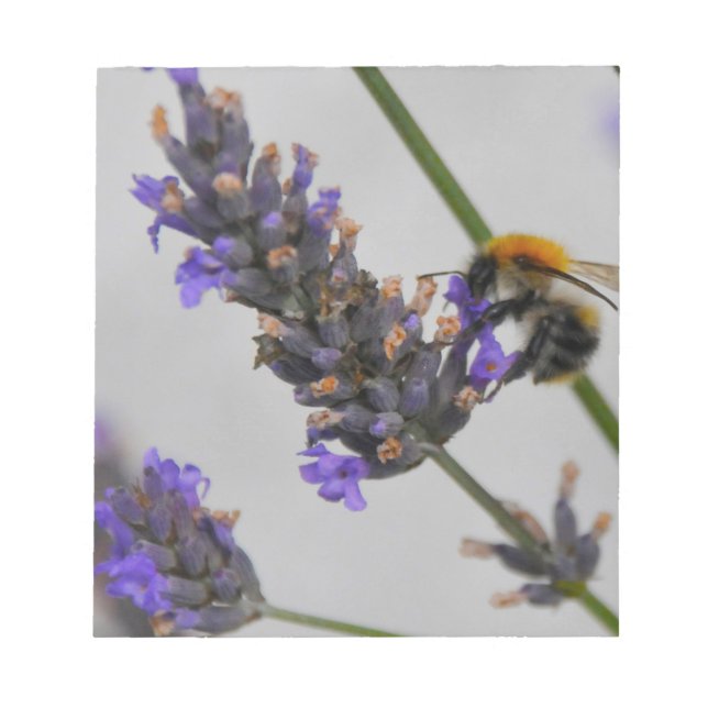 Bloc De Notas Naturas trabajadores maravillosos (Frente)