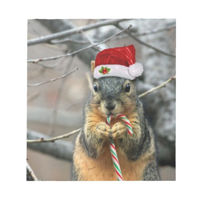 Bloc De Notas Navidades Squirrel (Frente)