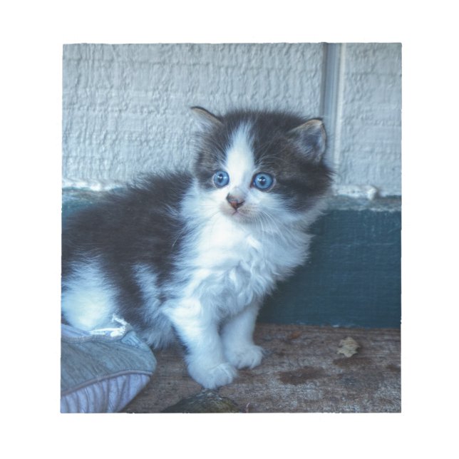 Bloc De Notas Negro + Gatito Blanco (Frente)