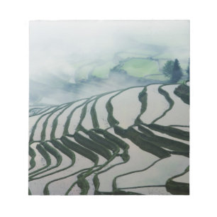 Bloc De Notas Niebla matutina sobre campos de arroz