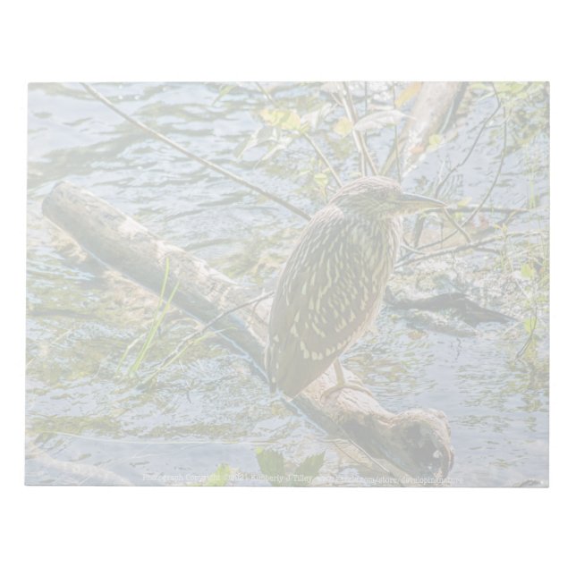 Bloc De Notas Night Heron jv (Frente)
