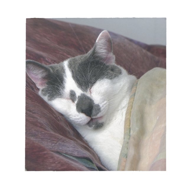 Bloc De Notas Nomenclatura de gatos (Frente)