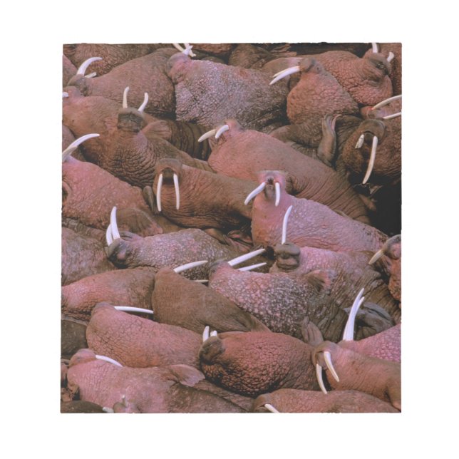 Bloc De Notas Norteamérica, Estados Unidos, Alaska, Delta del Yu (Frente)