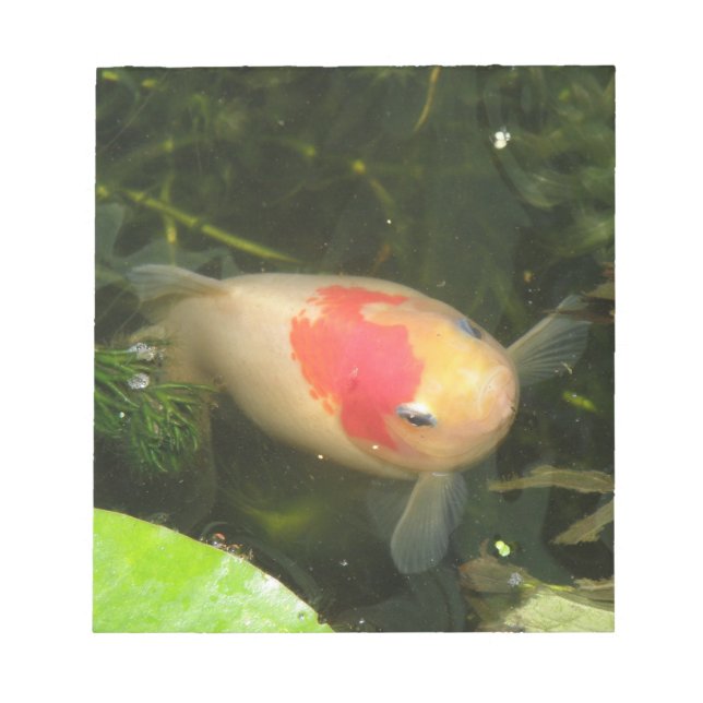 Bloc De Notas Notepad (Frente)