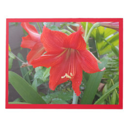 Bloc De Notas Notepad con flor roja brillante