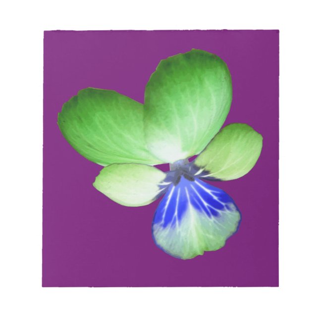 Bloc De Notas Notepad con pantalla verde y azul (Frente)