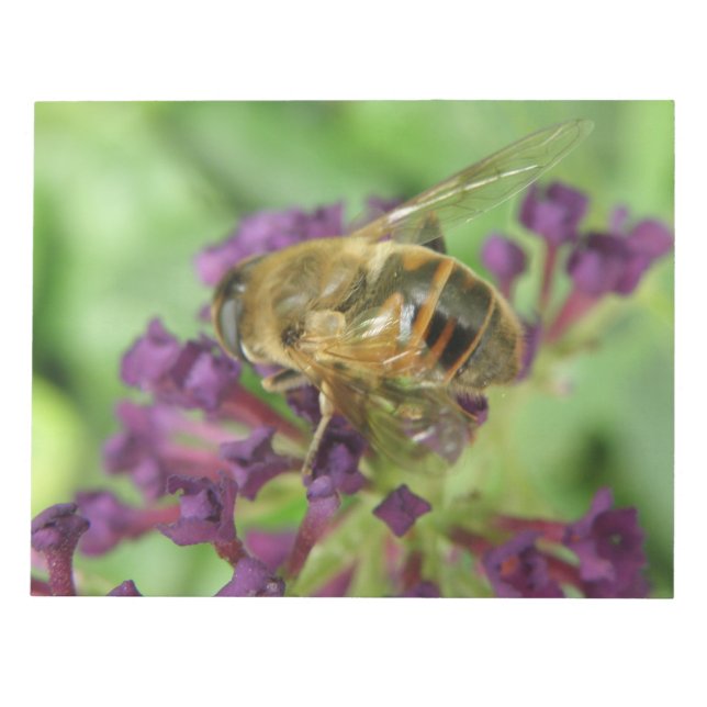 Bloc De Notas Notepad de abejas y flores moradas (Frente)