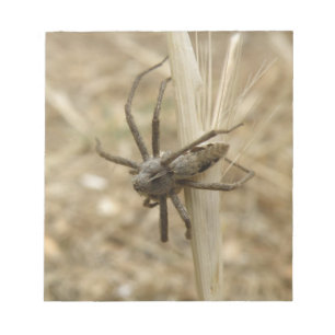 Bloc De Notas Notepad de araña crujiente