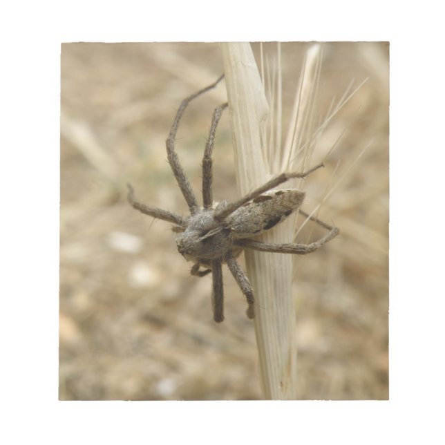 Bloc De Notas Notepad de araña crujiente (Frente)