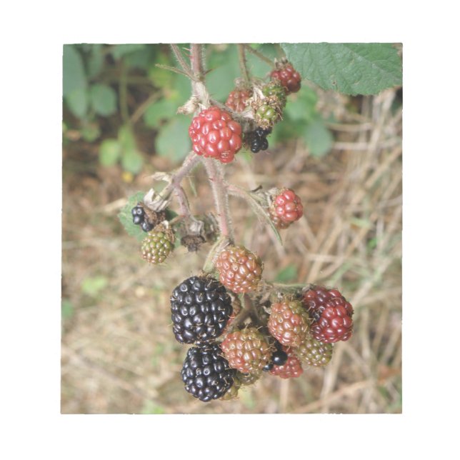 Bloc De Notas Notepad de Blackberry Bonanza (Frente)