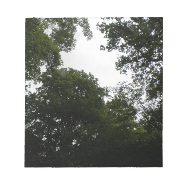 Bloc De Notas Notepad de bosque de resplandor (Frente)